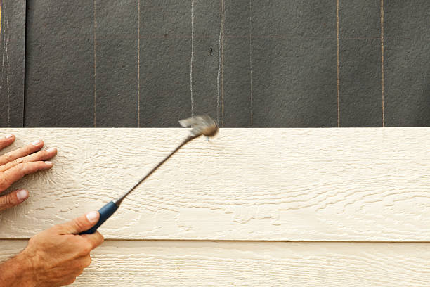 Best Aluminum Siding Installation  in Ludlow, KY